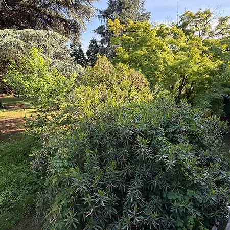 Cascinotto Stella Silvia Apartamento Piossasco
